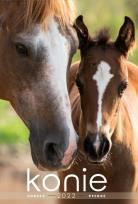 Opakowanie Kalendarz 2022 Wieloplanszowy Konie CRUX