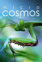 Opakowanie Kalendarz 2022 Wieloplanszowy Micro cosmos CRUX