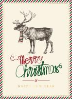 Opakowanie Karnet B6 BN Renifer