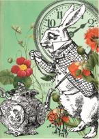 Opakowanie Karnet B6 z kopertą Alicja w krainie czarów