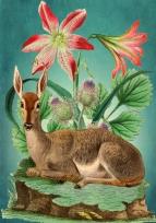 Opakowanie Karnet B6 z kopertą Jeleń i lilia