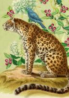 Opakowanie Karnet B6 z kopertą Lampart i ptak