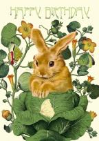 Opakowanie Karnet B6 z kopertą Urodziny Królik w kapuście