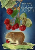 Opakowanie Karnet B6 z kopertą Urodziny Myszka