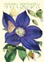 Opakowanie Karnet B6 z kopertą Urodziny Powojnik