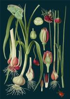 Opakowanie Karnet B6 z kopertą Zielony motyl