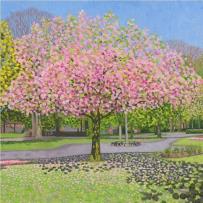 Opakowanie Karnet z kopertą Park