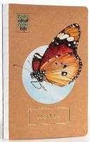 Opakowanie Notes Motyl