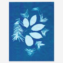 Opakowanie Papier słoneczny (cyjanotypia) 10 arkuszy 21,5 x 28 cm