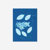 Opakowanie Papier słoneczny (cyjanotypia)  20 arkuszy 14 x 19cm