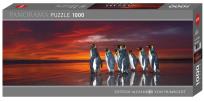 Opakowanie Puzzle 1000 Król pingwinów