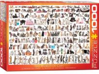 Opakowanie Puzzle 1000 Świat kotów