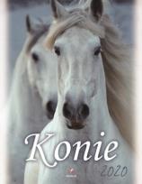 Opakowanie Kalendarz 2020 ścienny Wieloplanszowy Konie