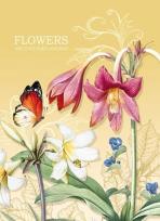 Opakowanie Notatnik ozdobny 145x197/64K kratka TW Motyl