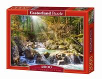 Okładka książki Puzzle 2000 Strumyk w lesie  CASTOR