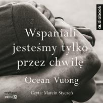 Okładka książki CD MP3 Wspaniali jesteśmy tylko przez chwilę