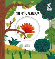 Okładka książki Niespodzianka Magiczne koło Kapitan Nauka