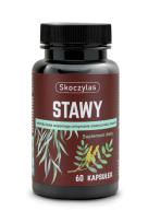 Zdjęcie produktu Skoczylas Stawy kadzidłowiec + wierzba + ashwagandha + sosna 60kaps
