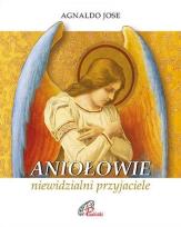 Okładka książki Aniołowie, niewidzialni przyjaciele
