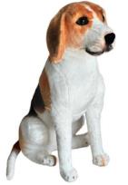 Opakowanie Beagle siedzący 65cm