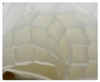 Opakowanie Bibuła przestrzenna biała 20x33cm