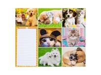 Opakowanie Blok magnetyczny zwierzęta MIX