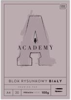 Opakowanie Blok rysunkowy A4/20K Academy (10szt)