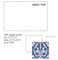 Opakowanie Box 100 kartek 20x30cm 700LC