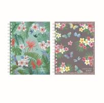 Opakowanie Brulion na spirali A6/100K kratka Ladylike (2szt)