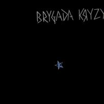 Okładka książki Brygada Kryzys (na 40-lecie) LP