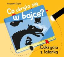 Okładka książki Co ukryło się w bajce?