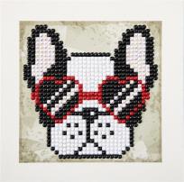 Opakowanie Cool Sunnies Quick Dotz