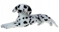 Opakowanie Dalmatyńczyk 47cm