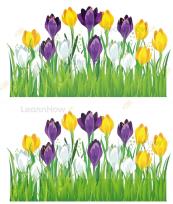 Opakowanie Dekoracja wiosenna - krokusy 2el