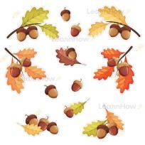 Opakowanie Dekoracje jesienne - Żołędzie 12el