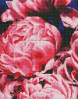 Opakowanie Diamentowa mozaika - Aksamitne piwonie 40x50cm