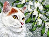 Opakowanie Diamentowa mozaika Biały kot 60873