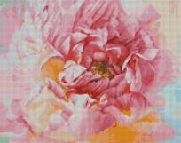 Opakowanie Diamentowa mozaika - Delikatna piwonia 40x50