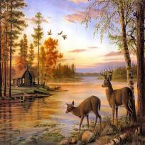 Opakowanie Diamentowa mozaika jelenie nad jeziorem landshaft  NO-1007352