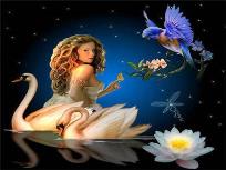 Opakowanie Diamentowa mozaika Kobieta łabędzie i koliber 60814