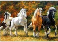 Opakowanie Diamentowa mozaika Konie w galopie na leśnej łące NO-1008671