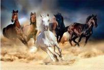 Opakowanie Diamentowa mozaika konie w galopie na piachu NO-1006299