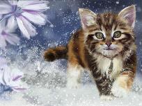 Opakowanie Diamentowa mozaika Kotek 60388