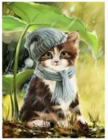 Opakowanie Diamentowa mozaika kotek w czapce NO-1008281