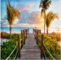 Opakowanie Diamentowa mozaika Most z palmami NO-1008513