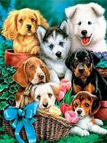 Opakowanie Diamentowa mozaika Psy 60713