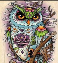 Opakowanie Diamentowa mozaika sowa z rysunkami kwiatów abstrakcja NO-1007752