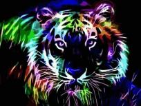 Opakowanie Diamentowa mozaika tygrys kolorowy w nocy  NO-1007116