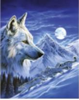 Opakowanie Diamentowa mozaika Wilk zimową nocą NO-1007000