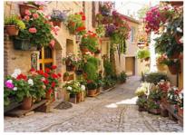 Opakowanie Diamentowa mozaika Włoska uliczka z kwiatami NO-1007420